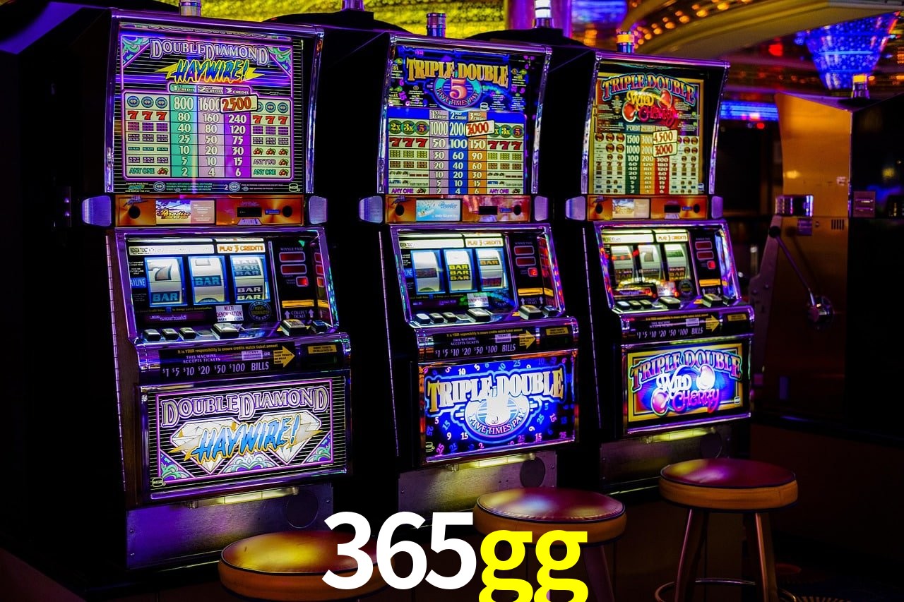 Casino Ao Vivo 365gg
